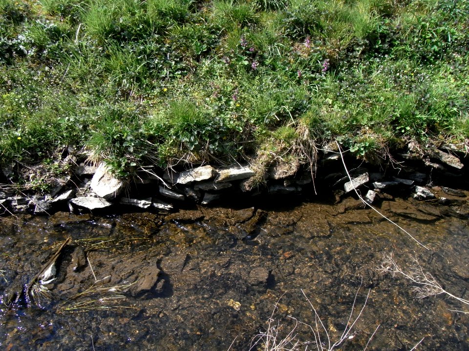 Wiesbach alte Uferbefestigung R0012995
