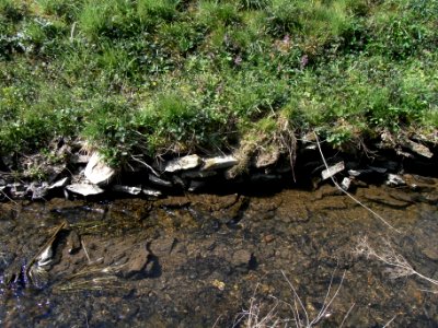 Wiesbach alte Uferbefestigung R0012995