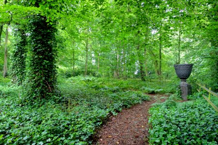Wilderness - Renishaw Hall - Derbyshire, England - DSC02331