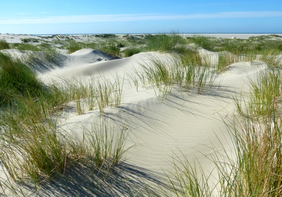 North sea borkum untouched nature