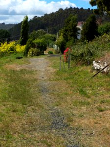 Wilf-Campbell-Hill-track-20151209-001