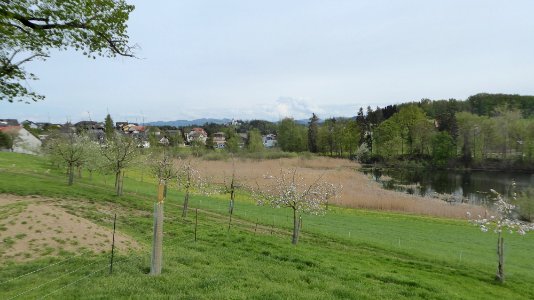Wilen (Gottshaus) TG