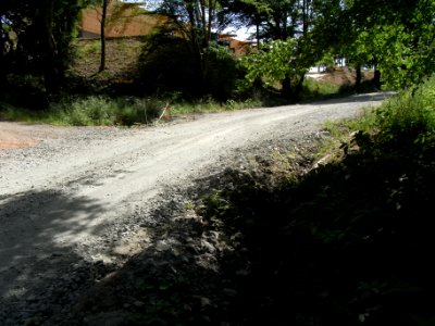 Wiesbach Bach Pfingstborn Zufluss höhere R0014881