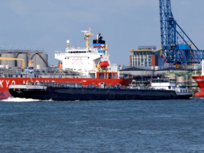 Willem Sr., ENI 02327686