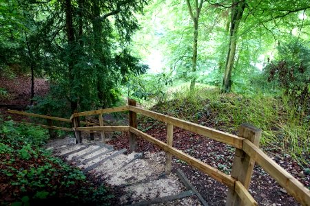 Wilderness - Renishaw Hall - Derbyshire, England - DSC02339