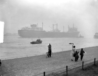 Willem Barentsz op walvisvangst Vertrek van Hoek van Holland, Bestanddeelnr 908-1403