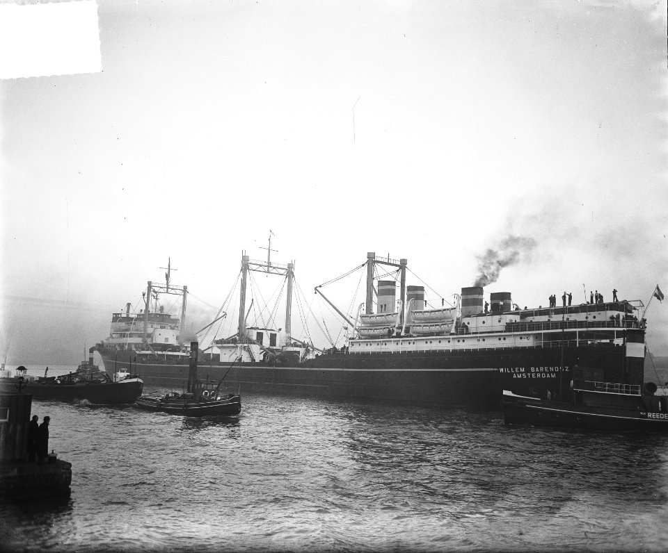 Willem Barendsz ter walvisvaart, Bestanddeelnr 903-6859