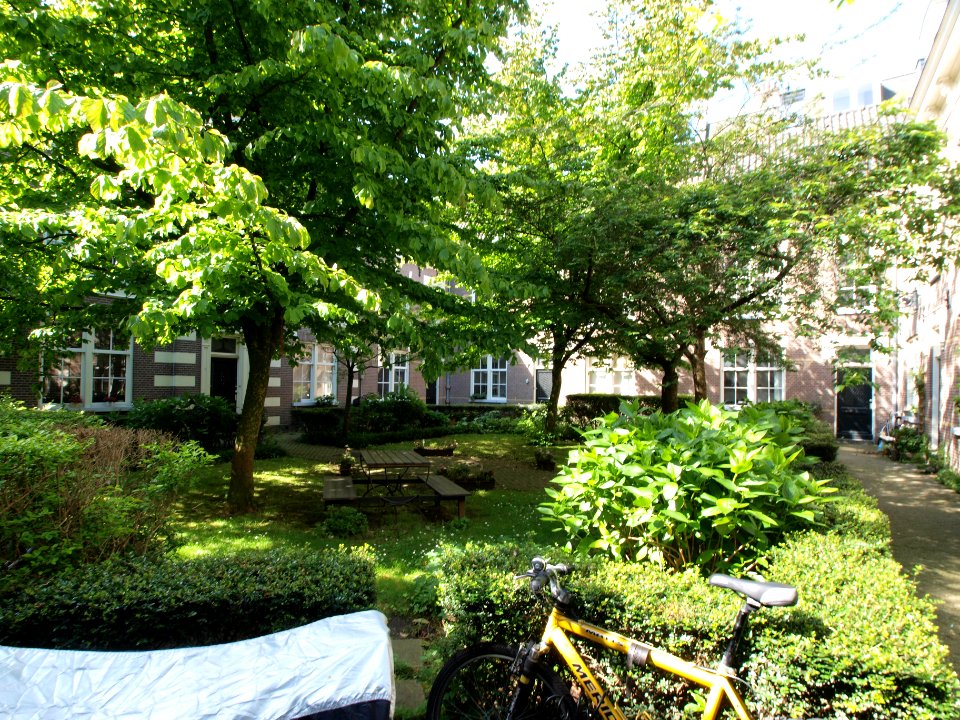 Willemsstraat, Constantia Hofje, foto 7