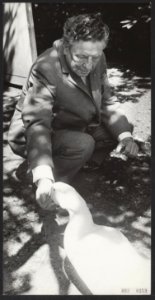 Willem Vogt, radiopionier, oprichter en oud-directeur van de AVRO viert zijn 80e, Bestanddeelnr 093-0259