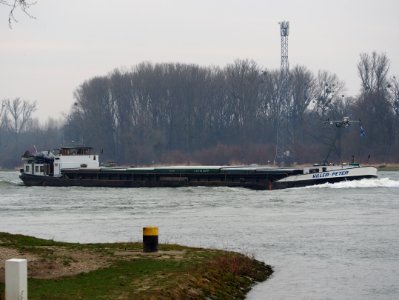 Willem-Peter (ship, 1962) ENI 02314180 Rijn, Leimersheim pic2