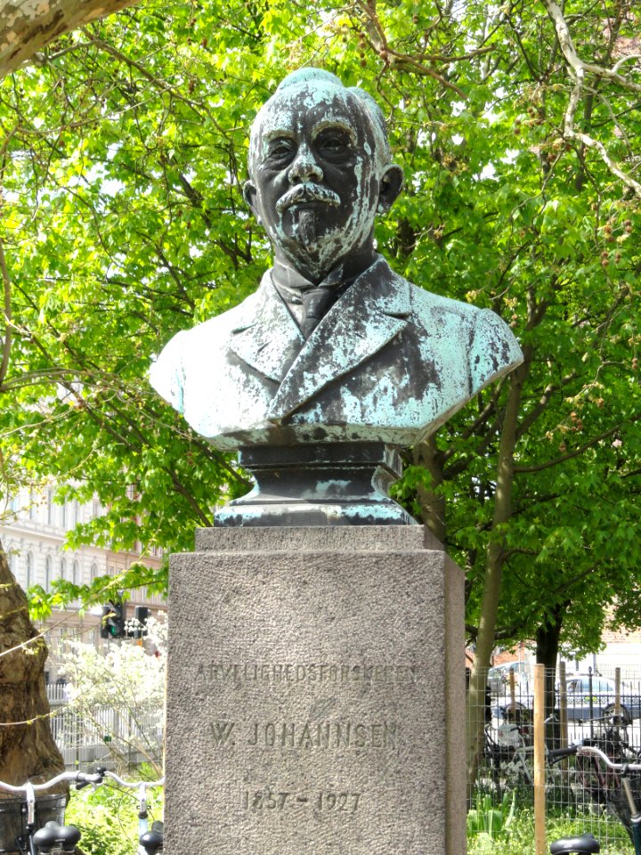 Wilhelm Johannsen - Botanisk Laboratorium København - DSC08099
