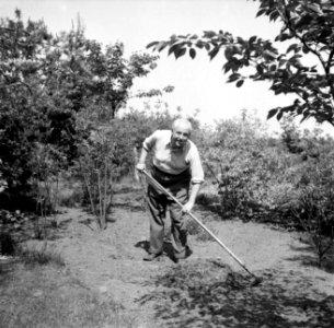 Willem van de Poll aan het werk in de tuin in Waalre, Bestanddeelnr 252-1373