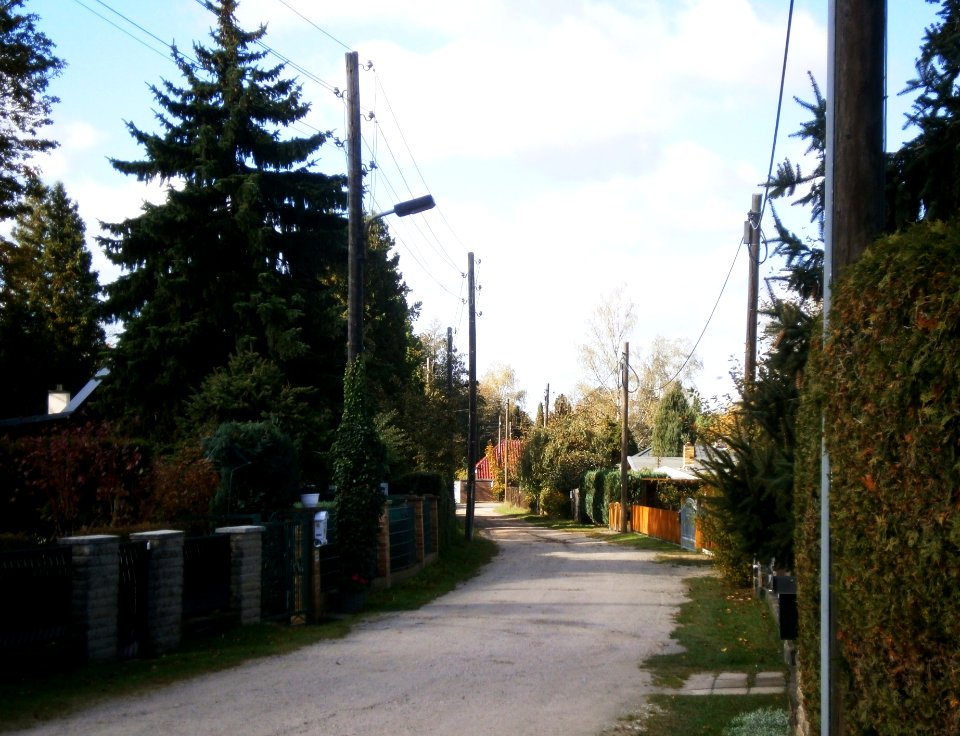 Wilhelmshagen-Drosselweg