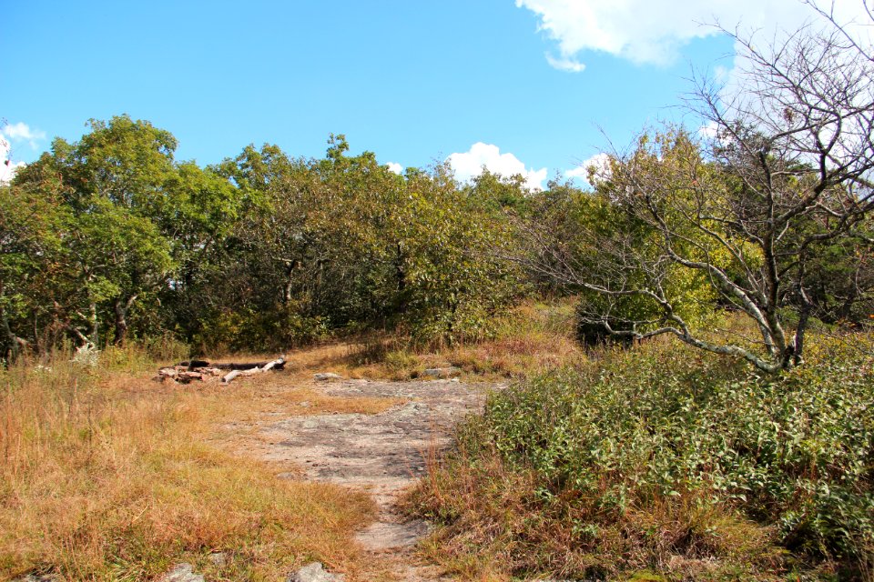 Wildcat Mountain clearing, Oct 2018