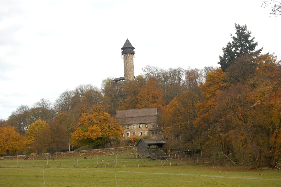 Wildenburg02