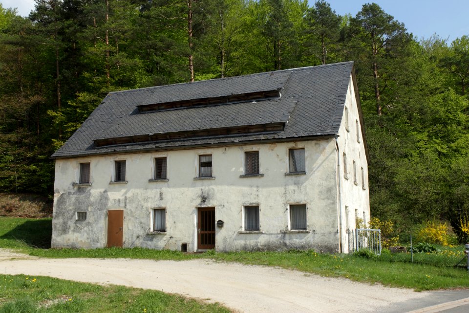 Wildenfels 9