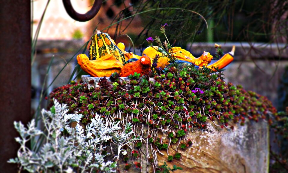 Garden pumpkin decorative