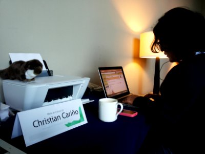 Wikimania 2015-Tuesday-Wendy the Weasel working together with Christian Cariño