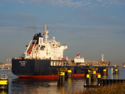 Willard J (ship, 2016) IMO 9749362, Port of Rotterdam pic1