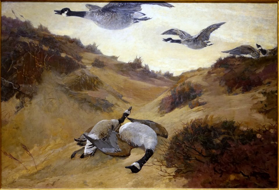 Wild Geese in Flight, by Winslow Homer, 1897, oil on canvas - Portland Museum of Art - Portland, Maine - DSC04248