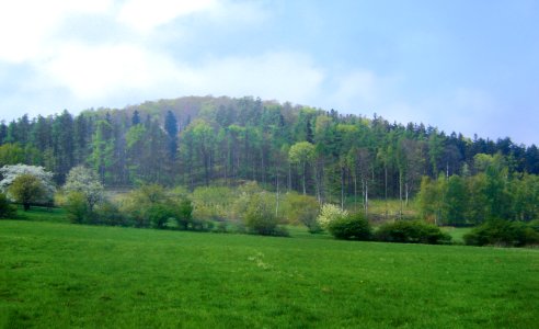 Wilczyna mit