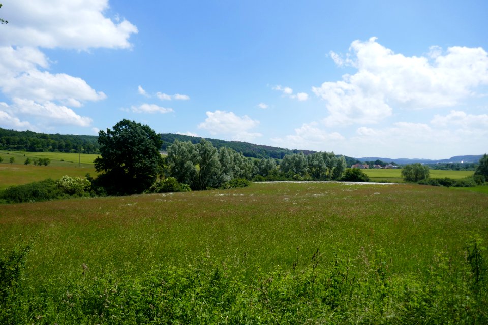 Willebadessen, Neuenheerse - NSG Nethe - 5