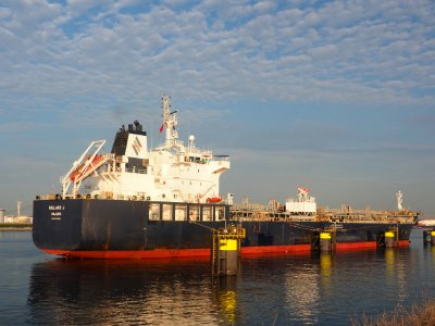 Willard J (ship, 2016) IMO 9749362, Port of Rotterdam pic2