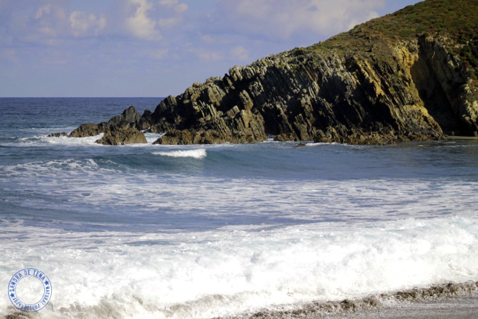 Wild Beach (176955243)