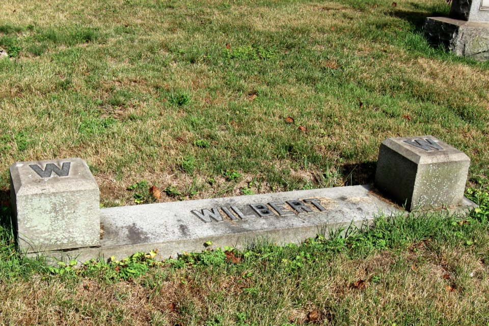 Wilbert plot, Mount Lebanon Cemetery, 2020-07-24