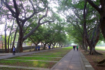 Wenli Boulevard - Tunghai University - DSC01489