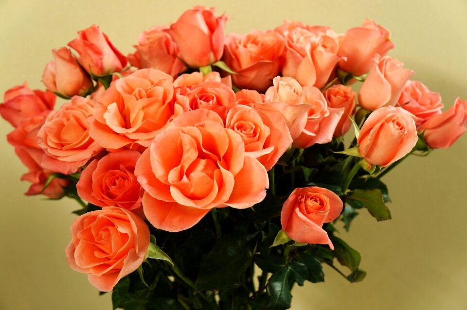 Beauty bouquet love