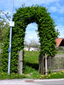Wenigenauma, Thuringia 08