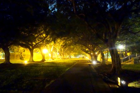 Wenli Boulevard at night - Tunghai University - DSC01608