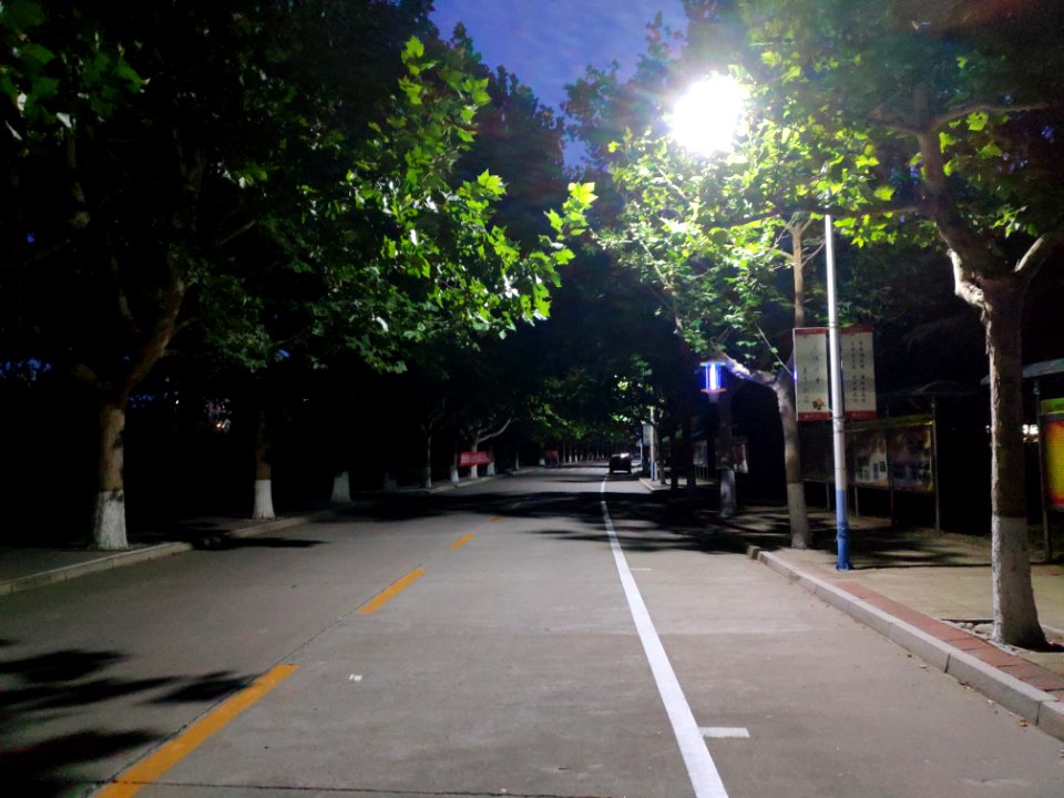 Weifang University 14