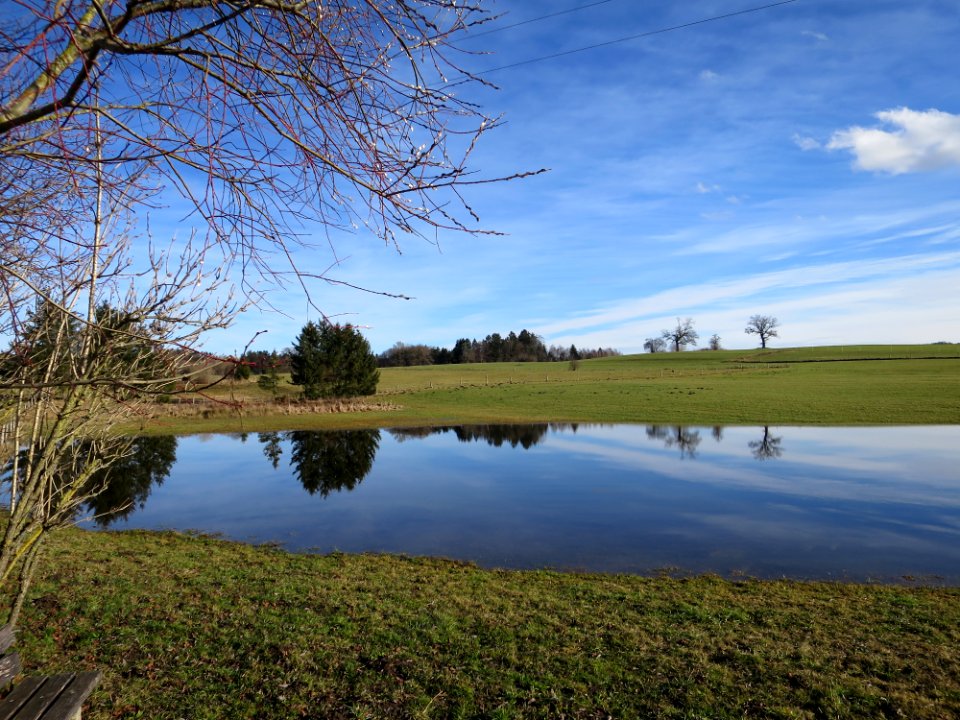 Weiher Ried