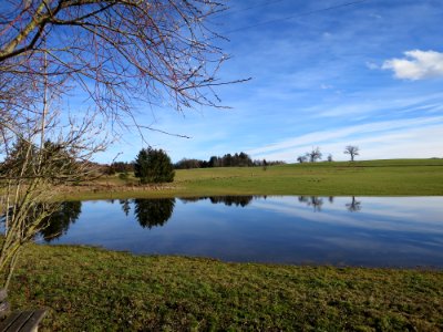 Weiher Ried