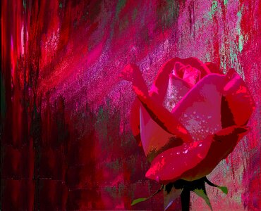 Wedding romantic red