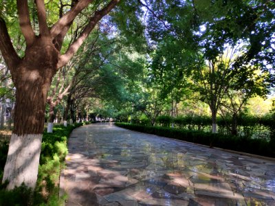 Weifang University 02