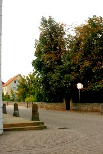 Wendelsheim 2013-21