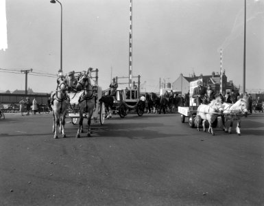 Wereld Dierendag 1964 , paarden met koets, Bestanddeelnr 916-9709