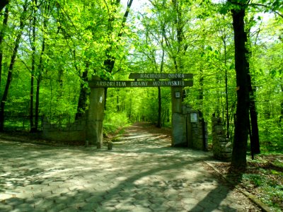 Wejście do Arboretum Bramy Morawskiej w Raciborzu