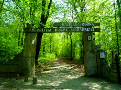 Wejście do Arboretum Bramy Morawskiej w Raciborzu 2