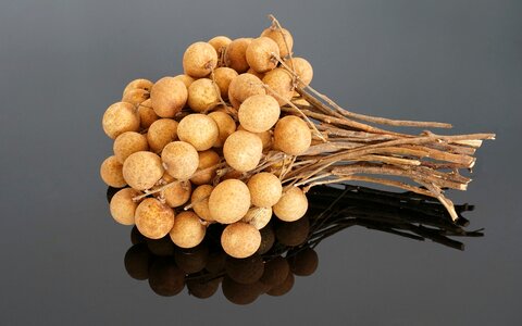 Tree fruit edible fruit