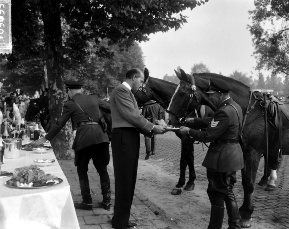 Wereld Dierendag 1964 , politiepaarden eten aan tafel, de paarden tijdens de maa, Bestanddeelnr 916-9699