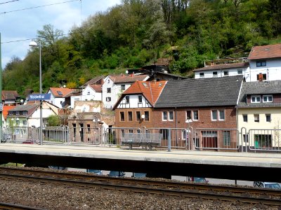 Weidenthal 01