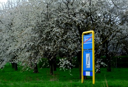 Welcome sign in Bemmel (Lingewaard) photo