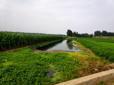Weizi River 02