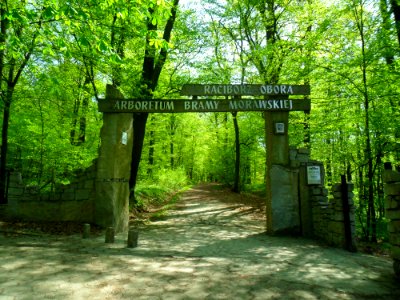 Wejście do Arboretum Bramy Morawskiej w Raciborzu 3