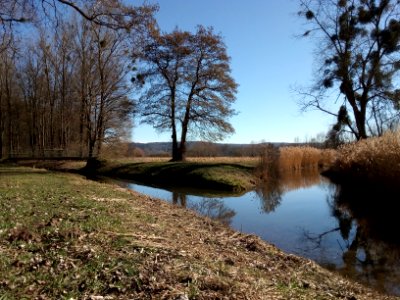 Weingartener Entlastungskanal, Einmündung Weidgraben