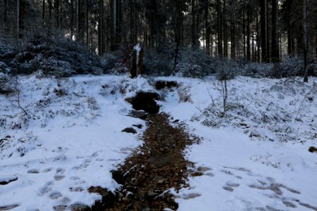 Weilquelle Taunus with snow 2021-04-06 05